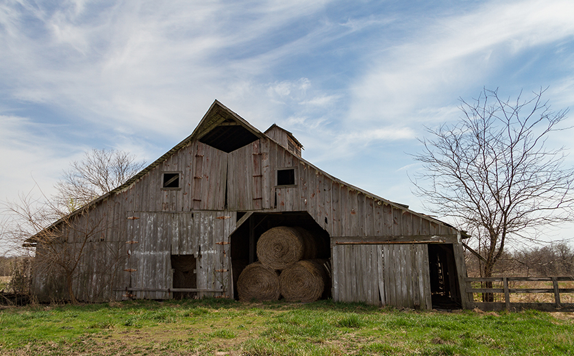 Rural Landscape