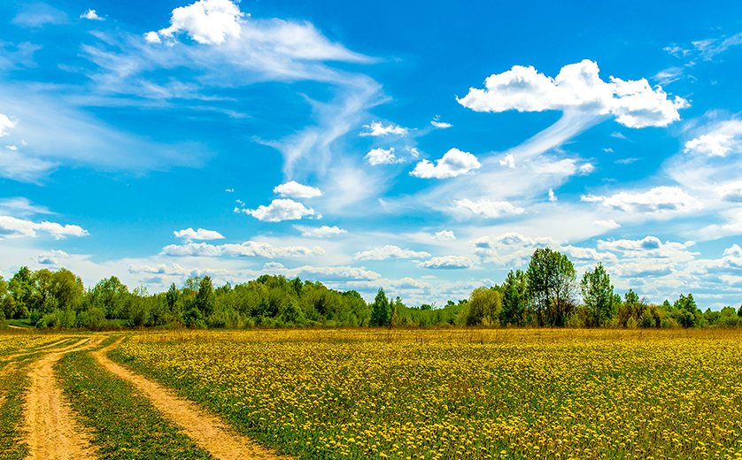 Rural Areas