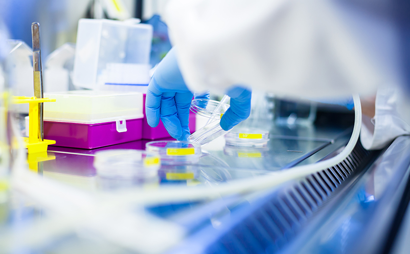 Tissue Research