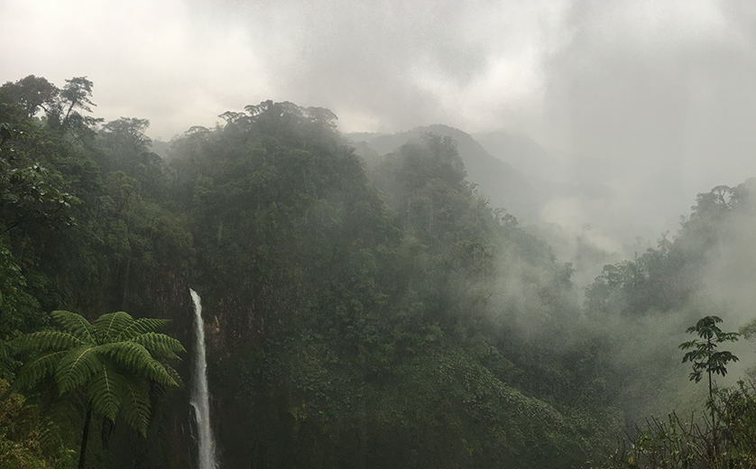 Costa Rican Rain Forest